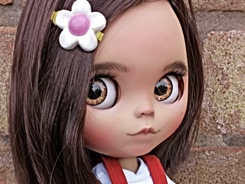 Custom Blythe Doll Amy, OOAK Blythe doll